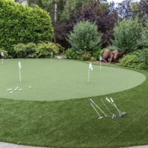 Silver - Putting Green