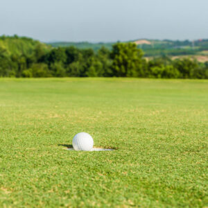Gold - Hole in One Sponsorship